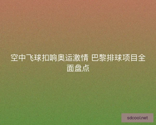 空中飞球扣响奥运激情 巴黎排球项目全面盘点