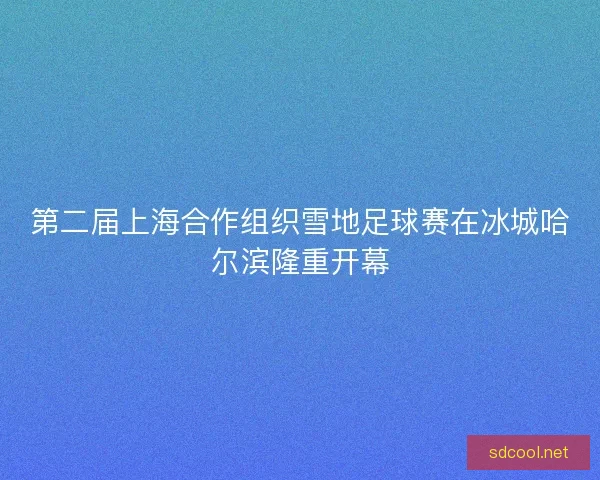 第二届上海合作组织雪地足球赛在冰城哈尔滨隆重开幕