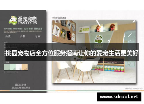 桃园宠物店全方位服务指南让你的爱宠生活更美好